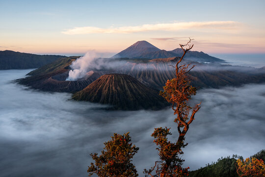 Early morning mist and fog surrounding active Mount Bromo volcano, East Java Indonesia