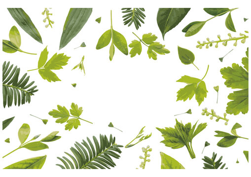 Watercolor botanical frame with green leaves and plants vector background
