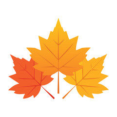 Fototapeta premium Autumn leaf flat design vector