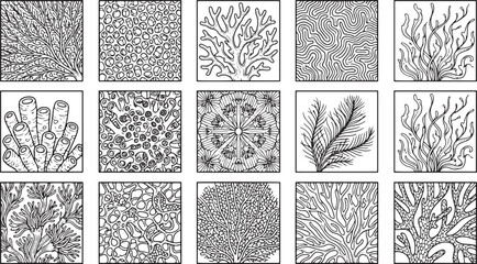 Hand Drawn Coral Reef Textures and Ocean Life Patterns Square Tile Set Vector Line Art Illustrations © Masuda