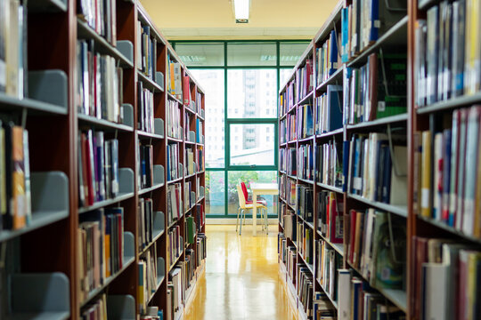 Shot of library, long aisle of a quiet library filled with tall bookshelves on both sides. 