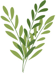 Fototapeta premium Decorative Green Foliage Branch Vector Illustration