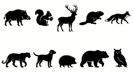 Obraz premium Silhouettes of various African savanna animals.
