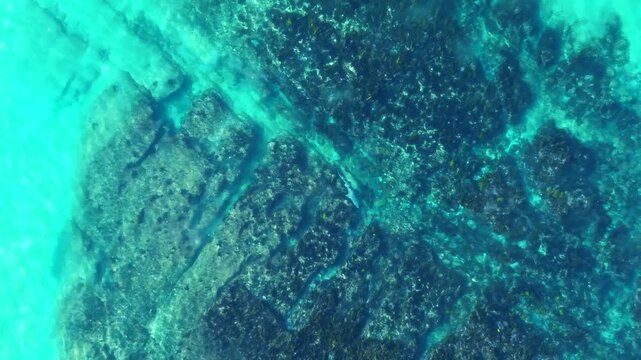 Drone aerial view of a shark animal species roaming around rocky ocean reef ecosystem along sandy beach coastline and bay cove inlet at Shoalhaven South Coast NSW Australia marine wildlife and nature
