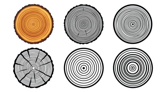 Detailed vector illustration set featuring various circular tree ring patterns in black and wooden textures