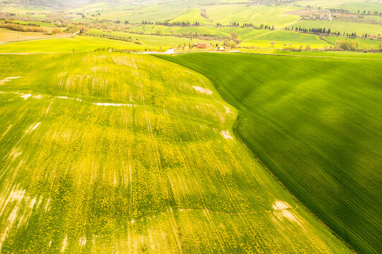 Rolling hills and farmland fields extend through the countryside, capturing the essence of rural tourism and nature travel in the iconic landscape of Orcia Valley, Pienza, Tuscany, Italy.