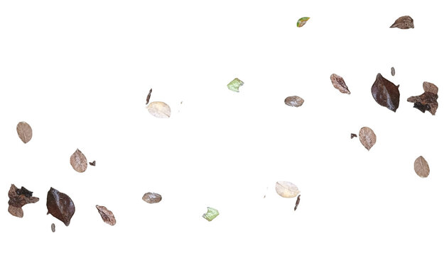 Collection of dry autumn leaves floating isolated on black background. Macro texture, organic nature elements for seasonal designs, environmental projects, fall marketing, and creative compositing ass