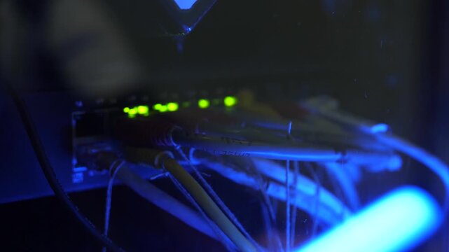 Working local network LAN with multiple cables connected to single device.