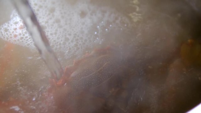 Step by step blue crab and shrimp cooking process with shell cleaning and crab meat extraction