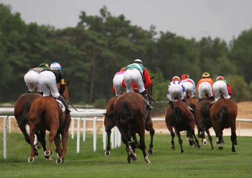 Turf hip&oacute;dromo galope caballos purasangre velocidad y emoci&oacute;n con jockey