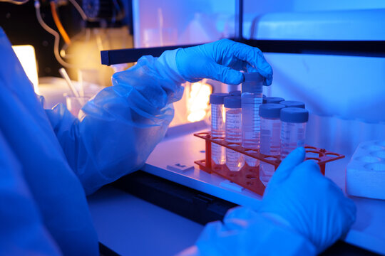 Laboratory Technician Organizing Test Tubes for Scientific Exper