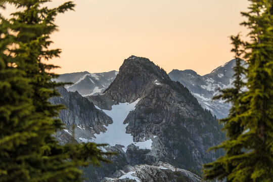 Snowy mountain peak framed by evergreen trees at sunset