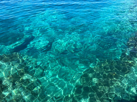 Crystal clear turquoise sea water with fish.