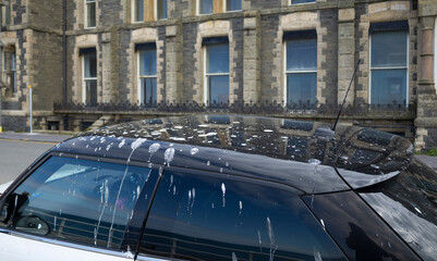 Black car roof and windows splattered with bird droppings and streaks while parked by a stone building, illustrating vehicle dirt, outdoor grime and the need for cleaning or maintenance. © © Raymond Orton