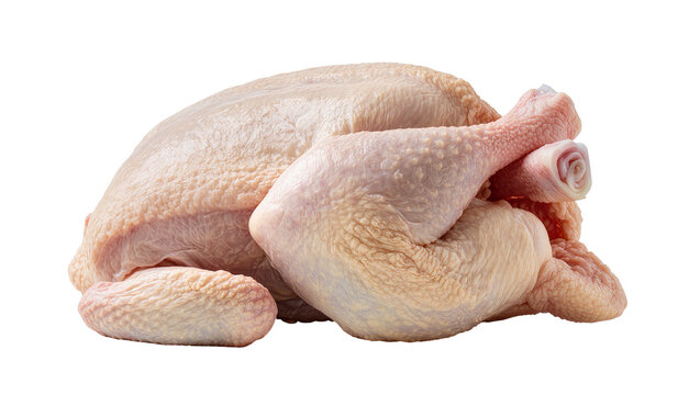 Whole raw chicken with skin and legs