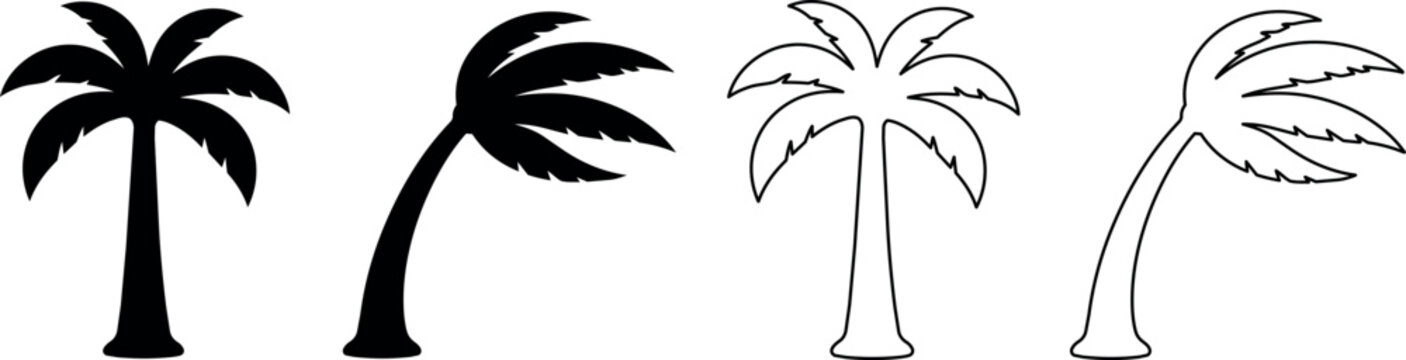 Various tropical palm tree silhouettes and outlines for design purposes