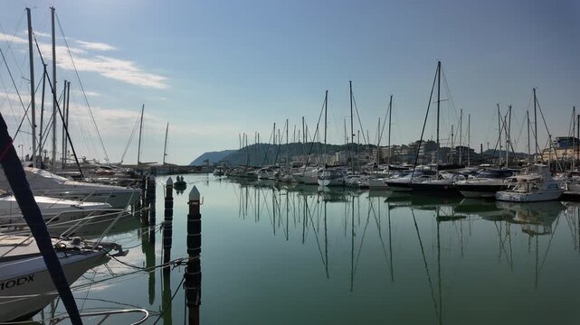 Small fishing boats moored inside the harbor basin of Cattolica with calm green water reflecting vessels and marina structures under a clear blue summer sky