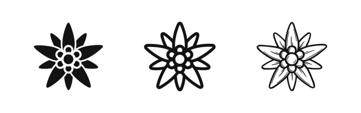 Edelweiss Flower Icons Set. Alpine Mountain Bloom Symbols in Solid, Outline, and Hand-Drawn Styles.