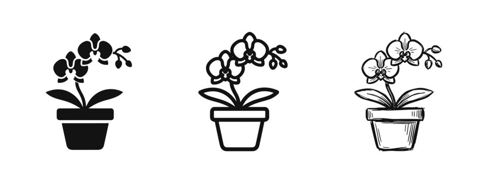 Potted orchid flower icon set. Beautiful blooming houseplant in a pot vector symbol, solid, outline, and doodle styles.