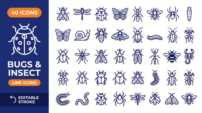 Insect icon set. Contain icons related to Insects and bugs. Editable stroke. Vector illustration
