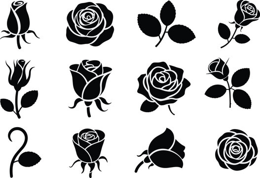 Rose flower black silhouettes vector illustration icon set featuring various blooming rosebuds and leaves isolated on white background