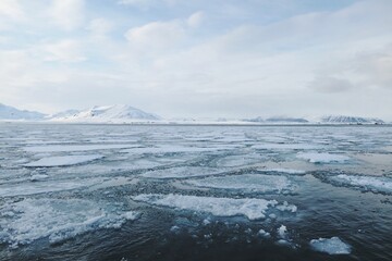 Drifting Sea Ice Across Arctic Waters in Svalbard, Norway © Sjoerd
