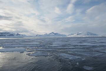 Drifting Sea Ice in Arctic Waters of Svalbard, Norway © Sjoerd