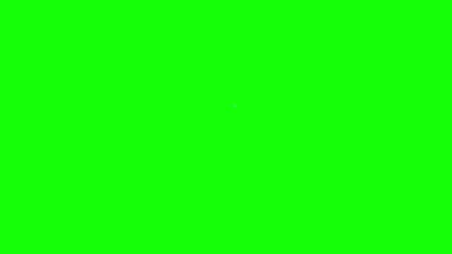 Background displays a vibrant and consistent green screen color field that serves as an essential tool for visual effects artists and content creators needing a high-quality keying surface.