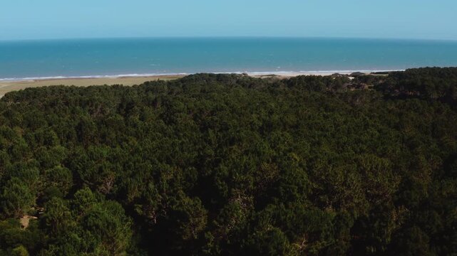 Drone Shot of Forest near Vibrant Coastal Landscape at Playa Garzon