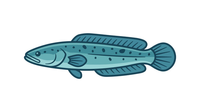 A stylized illustration of a blue spotted snakehead fish on a white background.