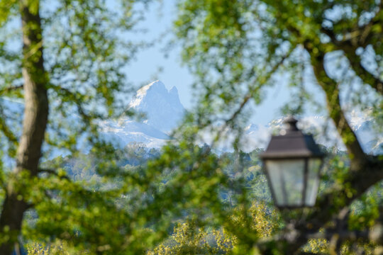 Le pic du midi d'ossau vu au travers des arbres du boulevard des pyr&eacute;n&eacute;es &agrave; Pau