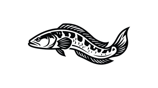 A detailed black and white illustration of a predatory snakehead fish swimming.