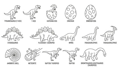 black and white dinosaur illustrations, educational drawings, kids learning concept © Olivia