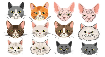 Fototapeta premium colorful cat faces, cartoon style, various breeds, illustration for web, emoticon concept