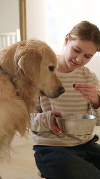Little Girl Gives A Food Bowl To An Adorable Golden Retriever Dog In A Light Room, Vertical Video