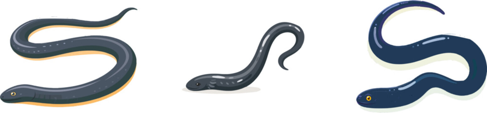 A dark grey legless caecilian amphibian with smooth, glossy ringed body texture is depicted in a flat vector style illustration, isolated on a solid white background