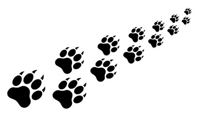 Set of Lion Paw Prints and Animal Tracks Pattern with Different Angles Vector Wildlife Design © MDSAKIB