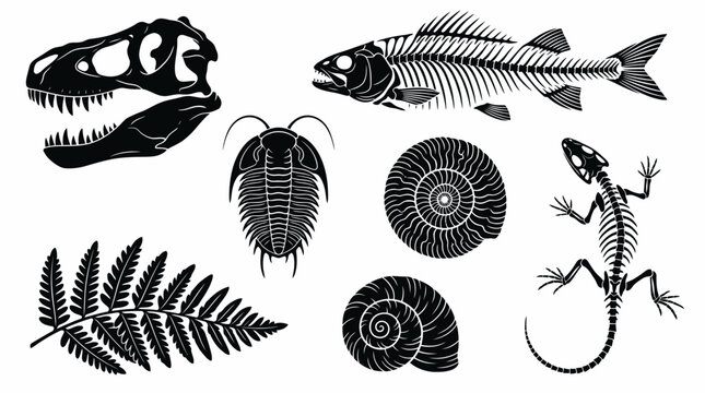Vector silhouettes of prehistoric fossils: dinosaur skull, fish skeleton, trilobite, ammonites, reptile skeleton, fern leaf, illustrating paleontology education and ancient life history