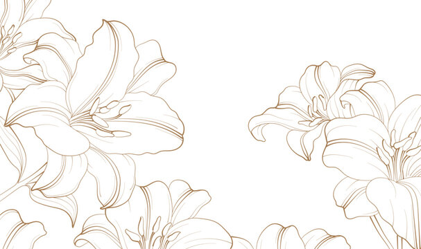 Decorative Botanical Line Art Background Illustration