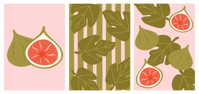 Cute hand drawn pink and green modern trendy summer vector poster illustration set with figs and leaf