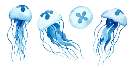 Watercolor illustration of a set of sea jellyfish © Tatiana