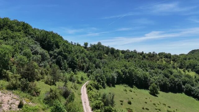 Sentiero sterrato immerso nel verde che conduce verso montagne ricoperte di vegetazione, sotto un cielo limpido