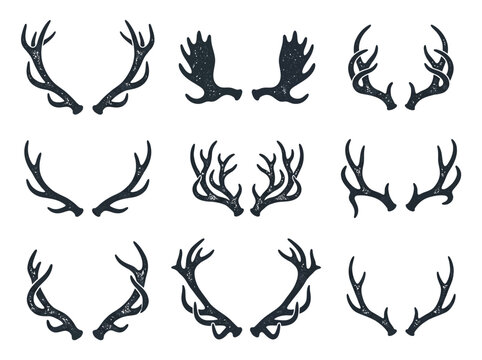 Nine detailed dark textured deer antler illustrations arranged in a clean organized grid design pattern