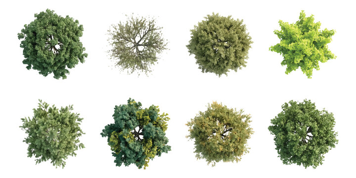 Top view set of various green trees and plants for architectural site plans and landscape design