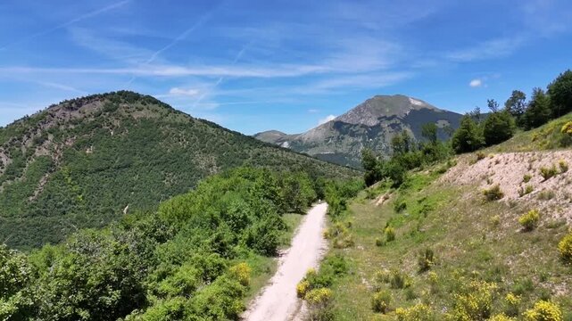 Sentiero sterrato immerso nel verde che conduce verso montagne ricoperte di vegetazione, sotto un cielo limpido