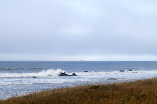 View of waves crashing against rocks along the rugged shoreline of the Lost Coast with dry grass in the foreground under a misty sky in Humboldt County, California, United States.