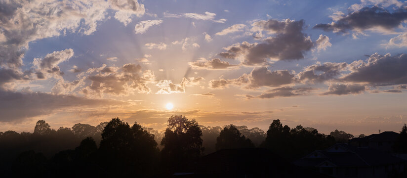 soft rays of sunshine at dawn as sun rises behind gum trees at sunrise