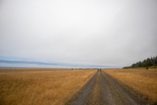 View of two people walking along a dirt road through the golden fields of the Lost Coast under an overcast sky in Humboldt County, California, United States.