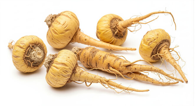 Fresh burdock roots gathered together showcasing their natural texture and earthy tones ideal for herbal medicine and healthy eating concepts. animation