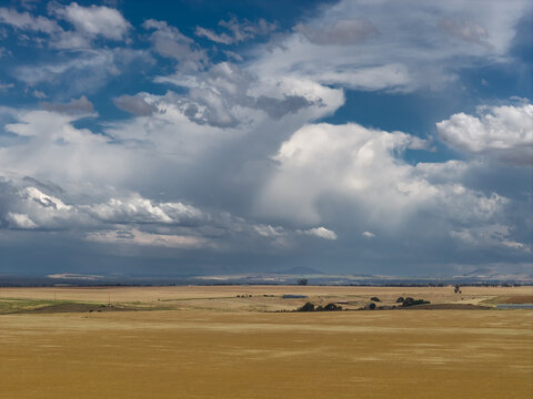 Aerial view of building storm clouds over dry crops and flat farmland